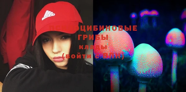 Альфа ПВП Бугульма
