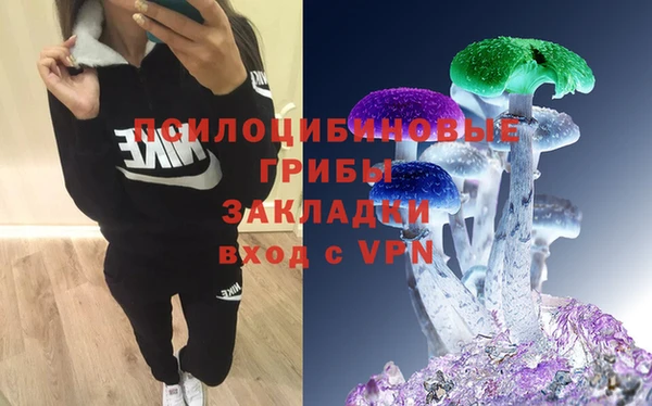 круглые Бронницы