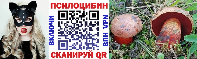 Галлюциногенные грибы MAGIC MUSHROOMS Гатчина