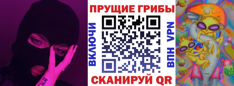 закладки  Гатчина  Псилоцибиновые грибы прущие грибы 
